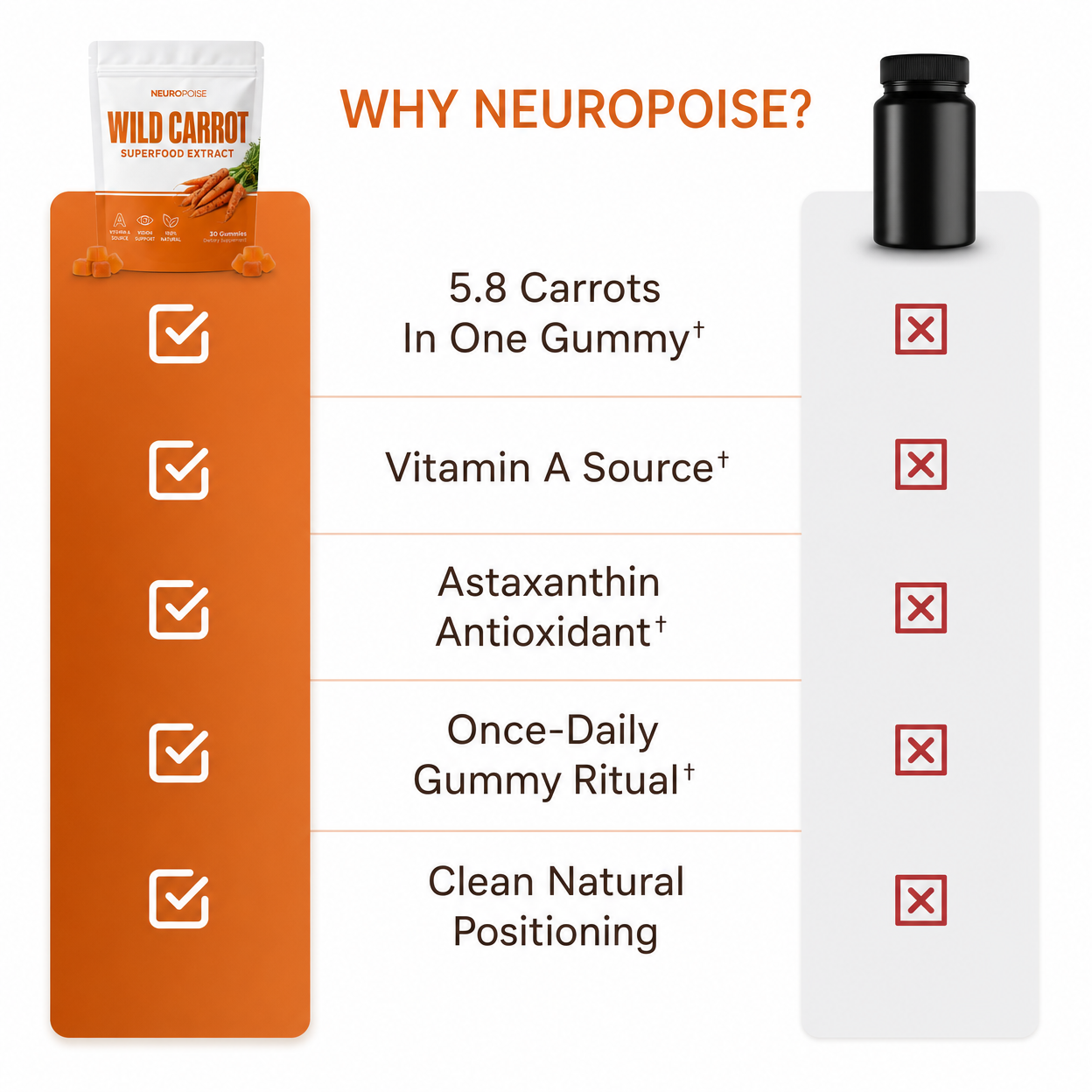 Neuropoise™ Wild Carrot Superfood Extract