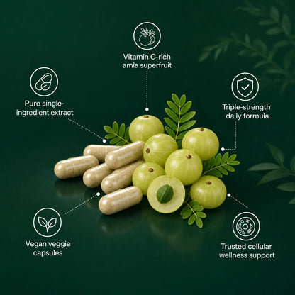 Neuropoise™ Amla Superfruit Extract