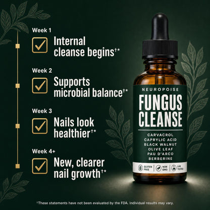 What to expect: the Fungus Cleanse nail renewal timeline