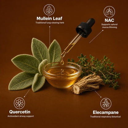 Inside the formula: mullein leaf, NAC, quercetin, elecampane